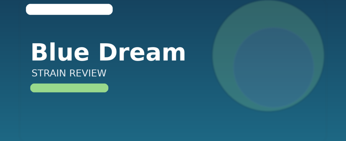 Blue Dream Strain Review: Why This Classic Hybrid Still Reigns Supreme