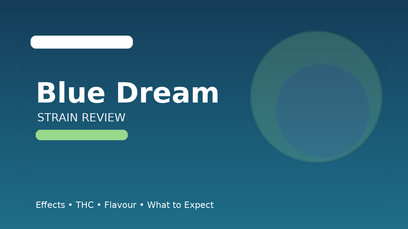 Blue Dream Strain Review: Why This Classic Hybrid Still Reigns Supreme