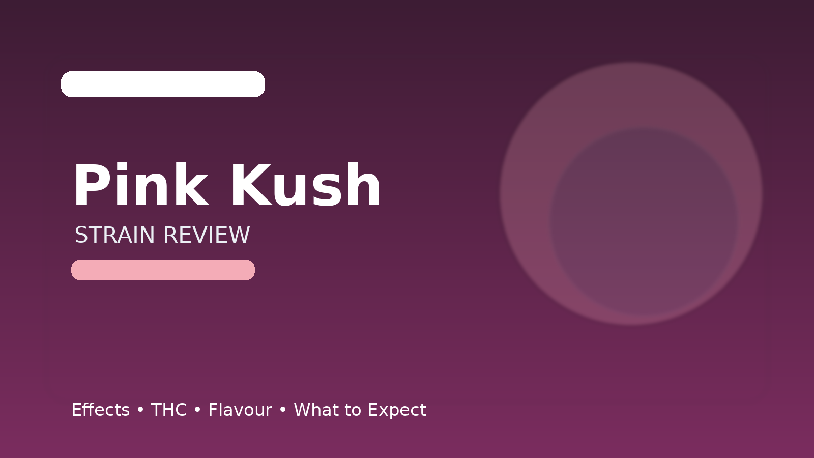 Pink Kush Strain Review: Canada’s Beloved Indica Powerhouse