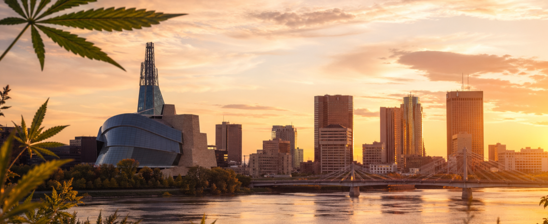 Cannabis in Winnipeg: Where to Buy Weed Legally in 2026