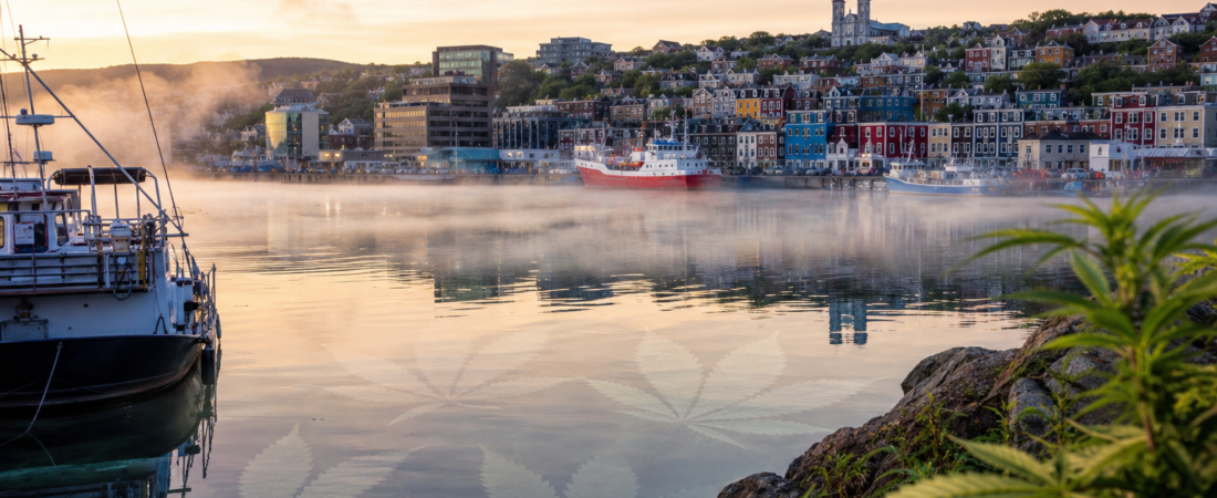 Cannabis in St. John’s: Where to Buy Weed Legally in 2026