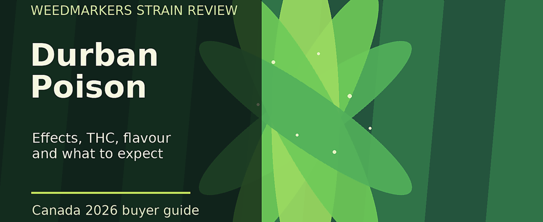 Durban Poison Strain Review: Effects, THC, Flavour & What to Expect