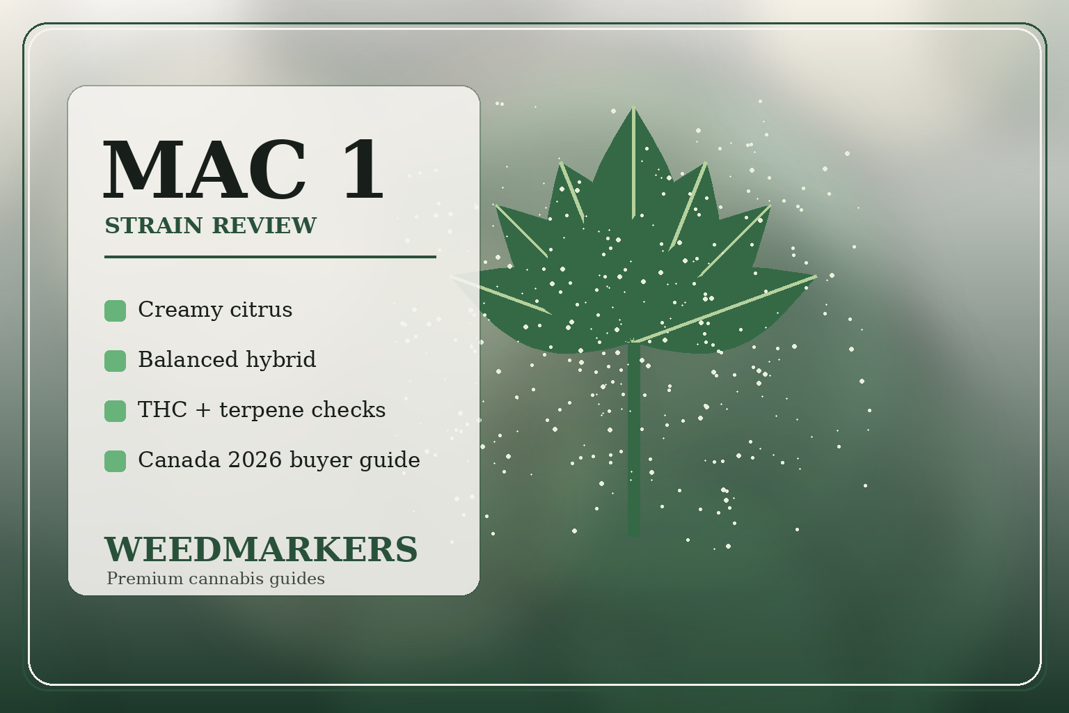 MAC 1 Strain Review: Effects, THC, Flavour & What to Expect