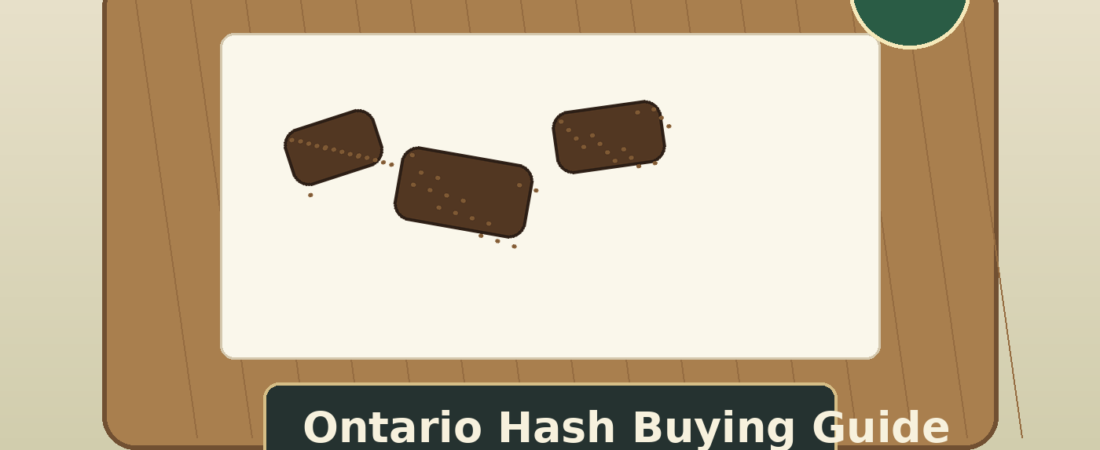 How to Choose Cannabis Hash in Ontario: Formats, Potency, Freshness & Safer Buying Checks (2026)